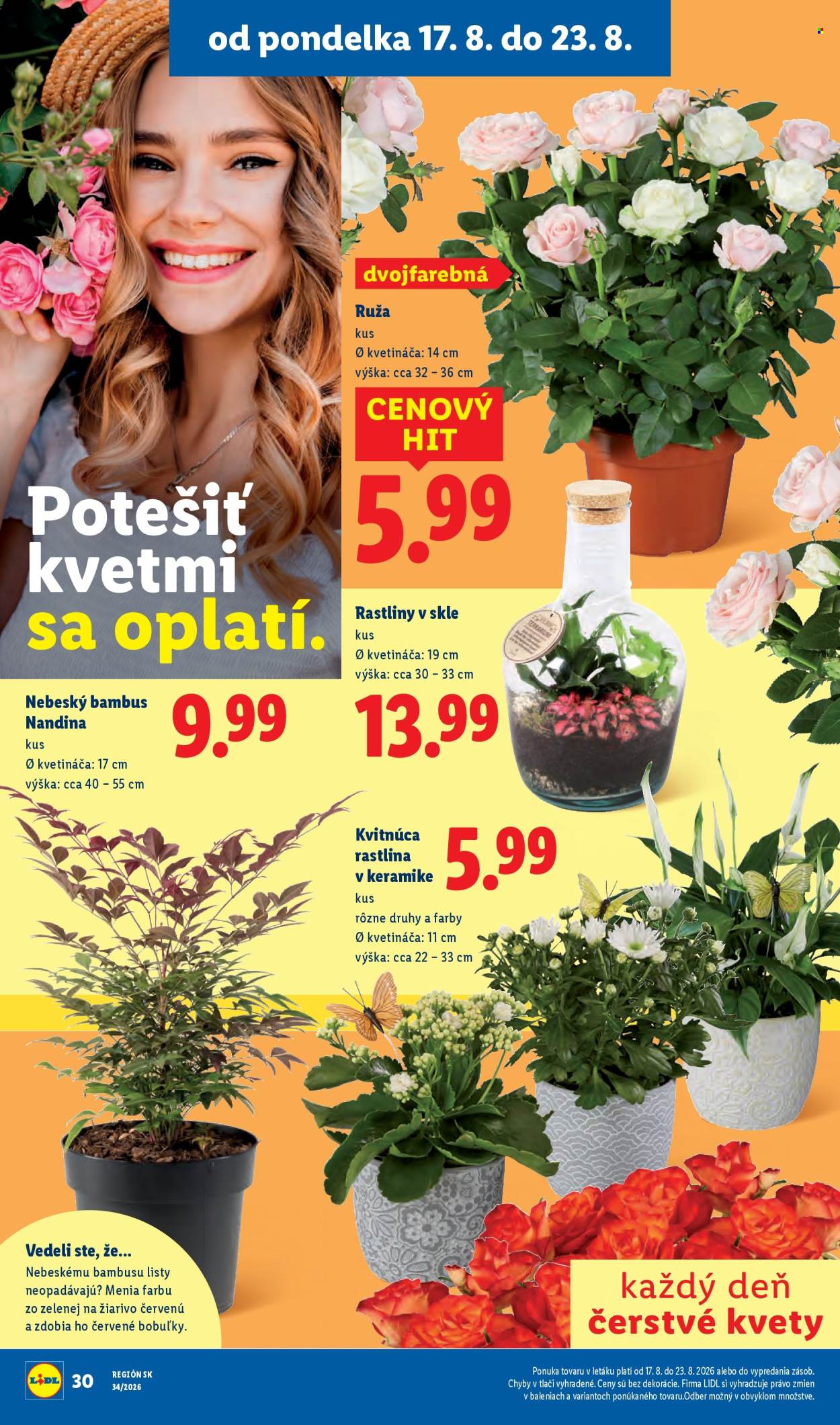 Leták Lidl - 17.8.2026 - 23.8.2026. Strana 42
