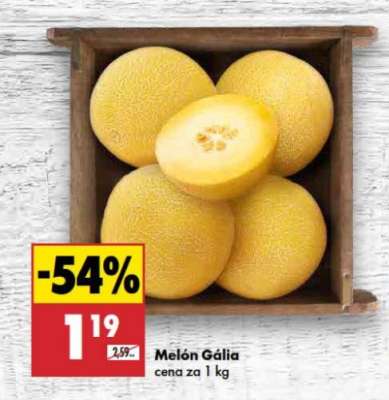 Melón Gália