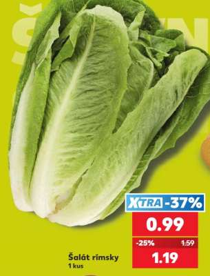 Šalát rímsky