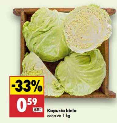 Kapusta biela