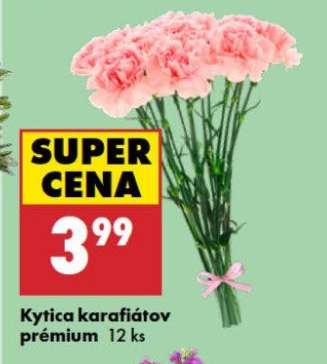 Kytica karafiátov prémium 12 ks
