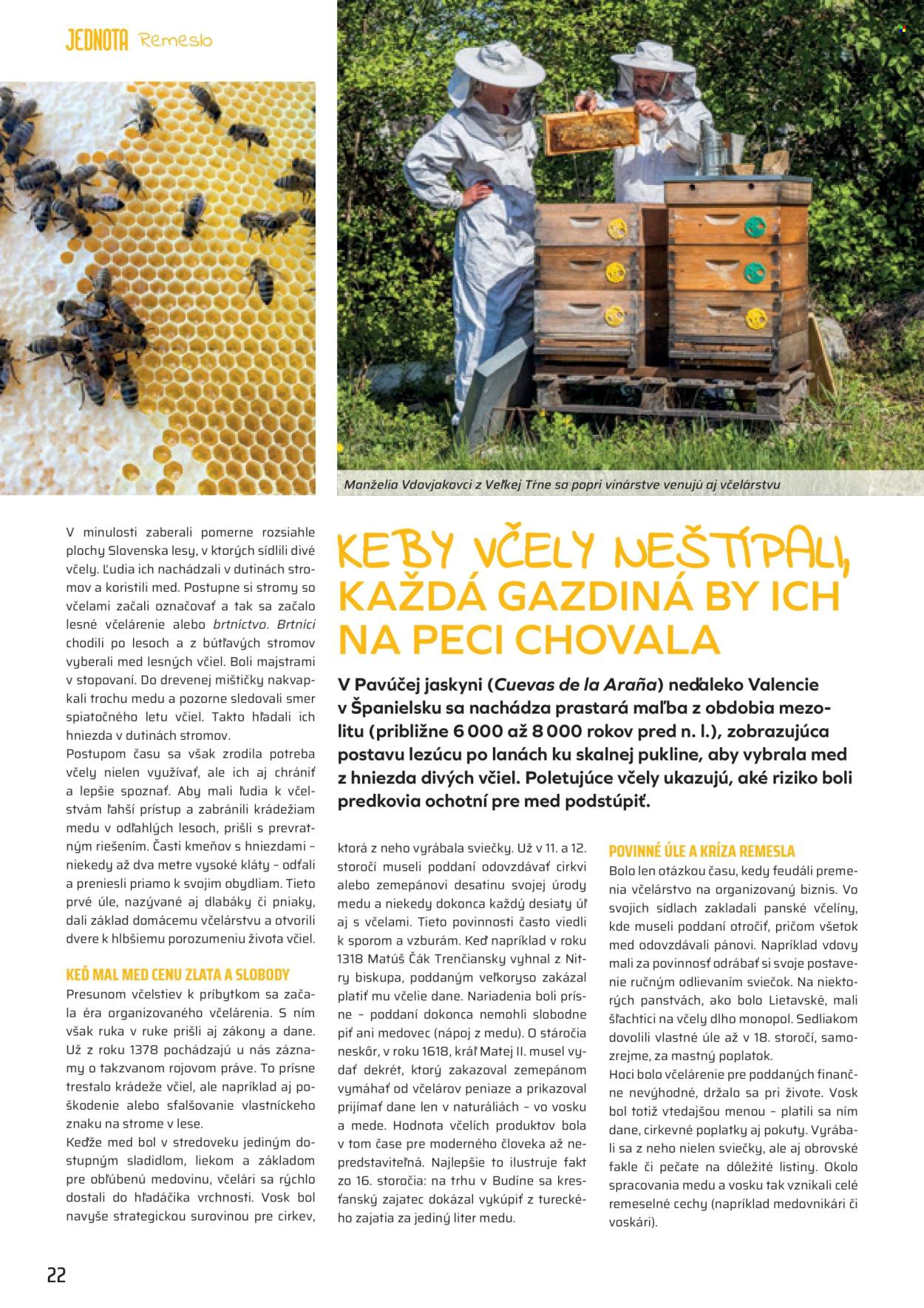 Leták COOP Jednota - 1.8.2026 - 31.8.2026. Strana 22