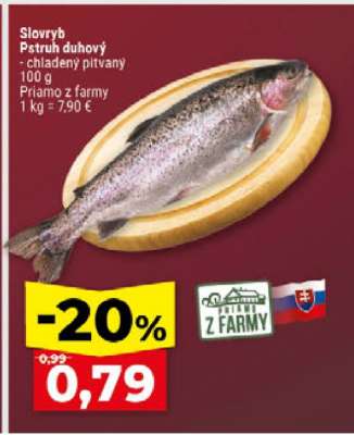 Slovryb Pstruh dúhový