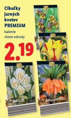 Cibuľky jarných kvetov „Prémium“