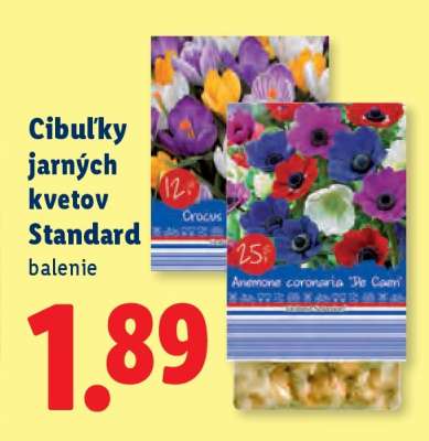 Cibuľky jarných kvetov „Štandard“