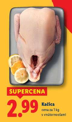 Kačica
