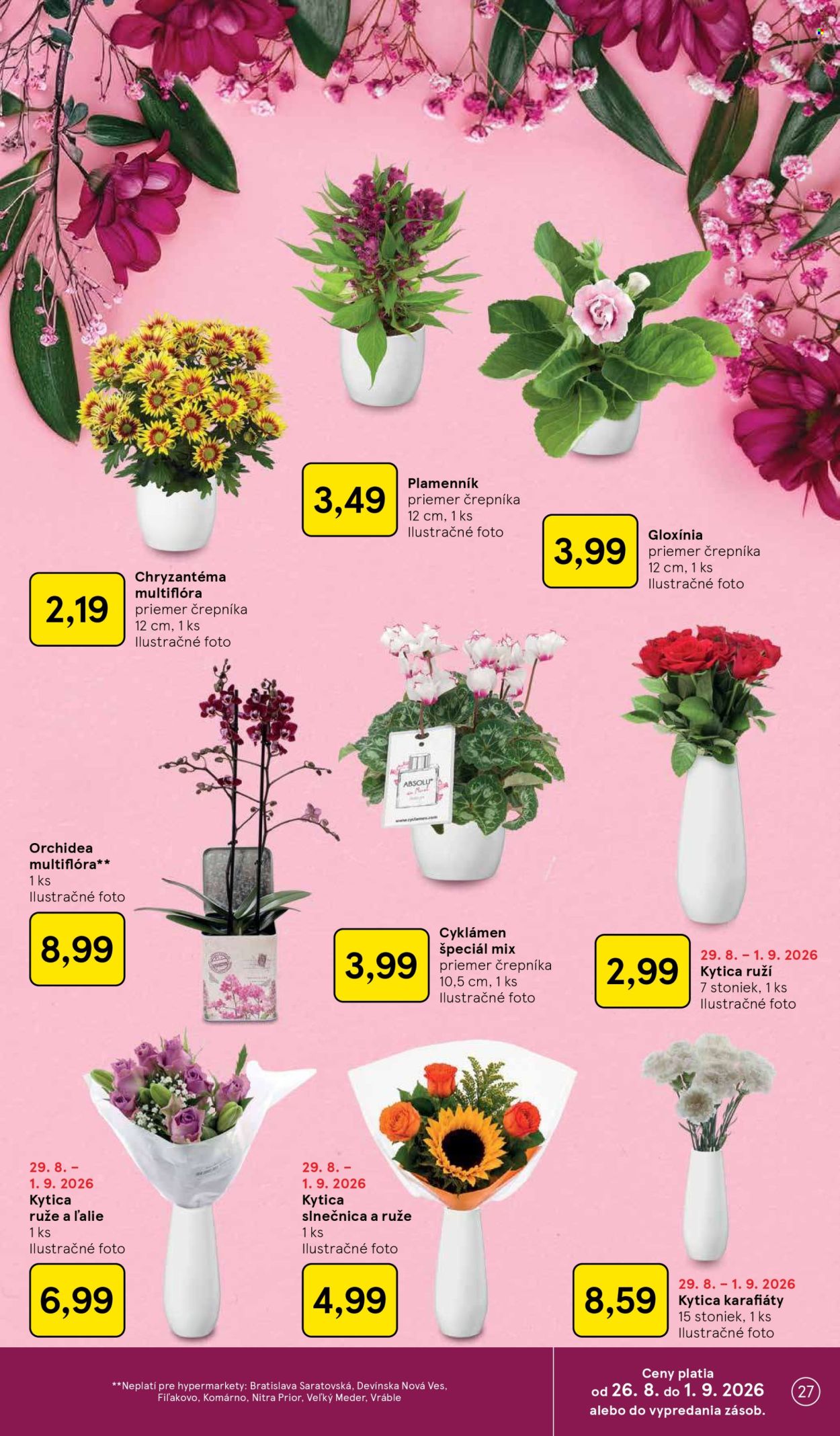 Leták TESCO - 26.8.2026 - 1.9.2026. Strana 27