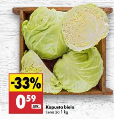 Kapusta biela