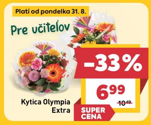 Kytica Olympia Extra