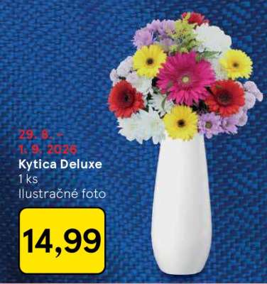 Kytica Deluxe