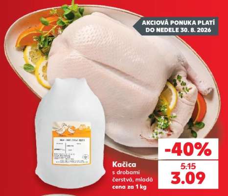 Kačica