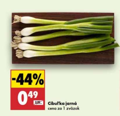 Cibuľka jarná