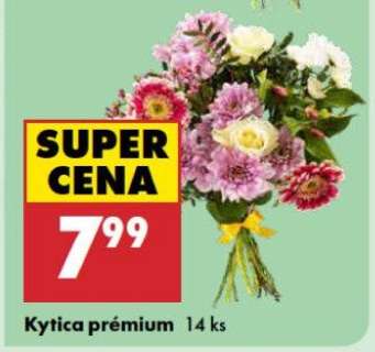 Kytica Prémium