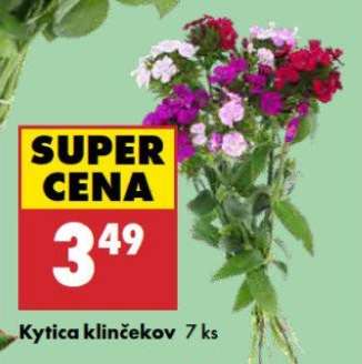 Kytica klinčekov 7 ks