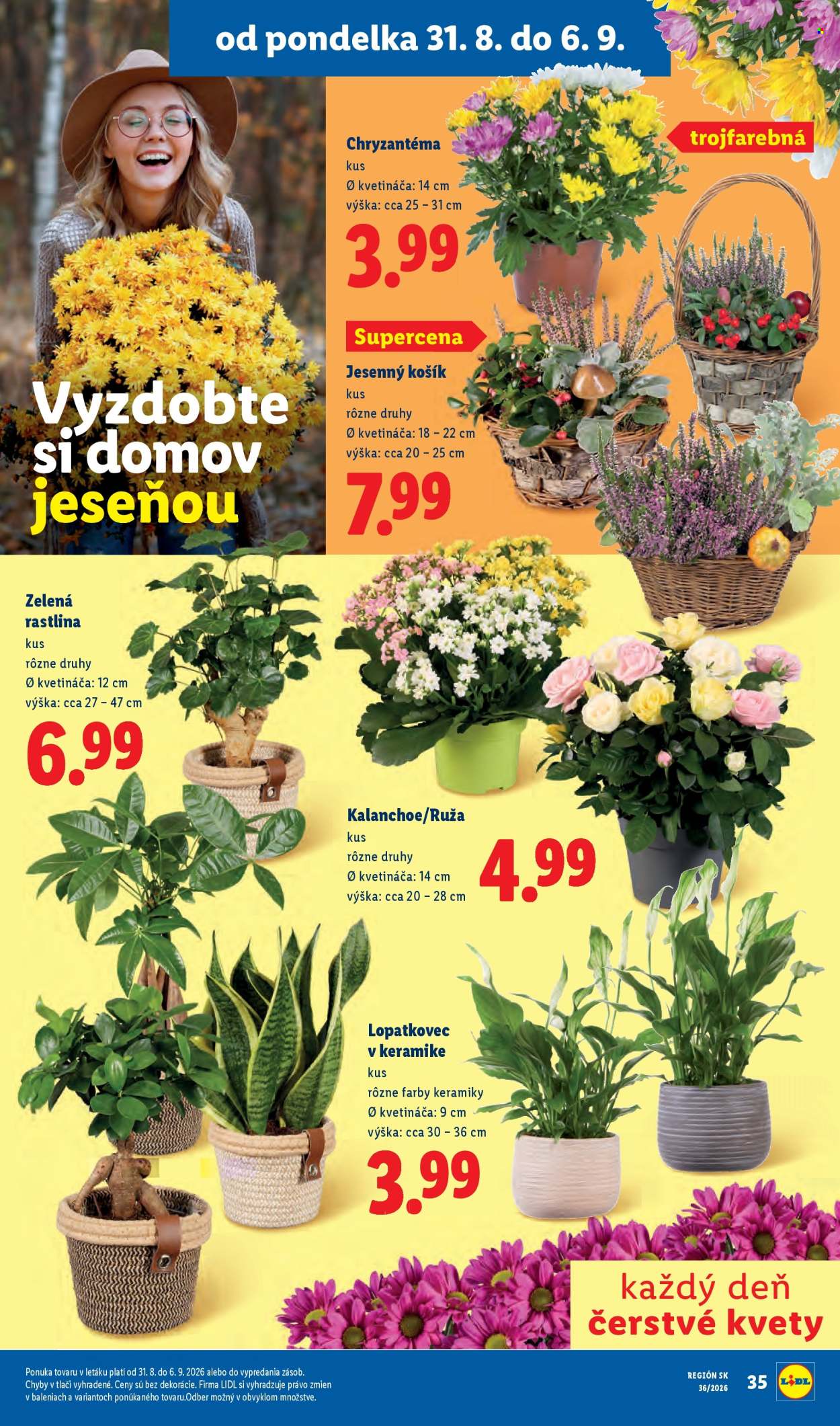 Leták Lidl - 31.8.2026 - 6.9.2026. Strana 49
