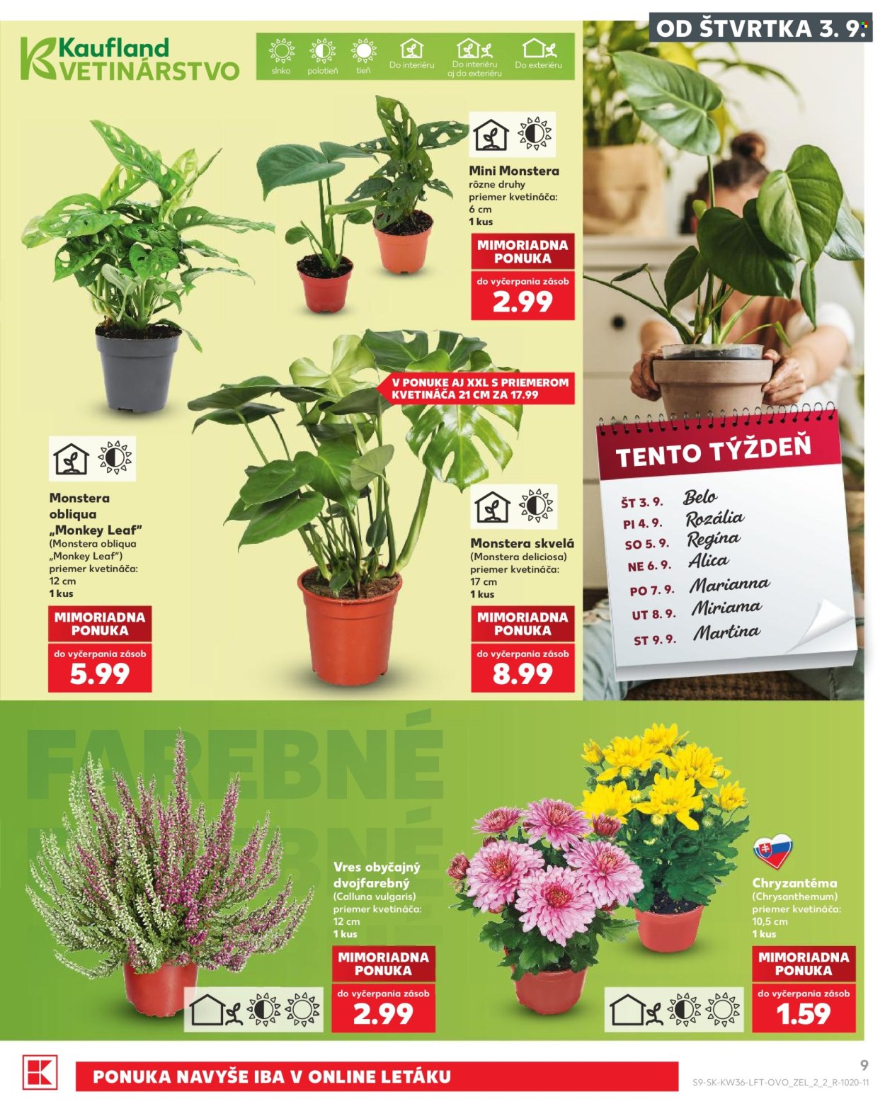 Leták Kaufland - 3.9.2026 - 9.9.2026. Strana 9