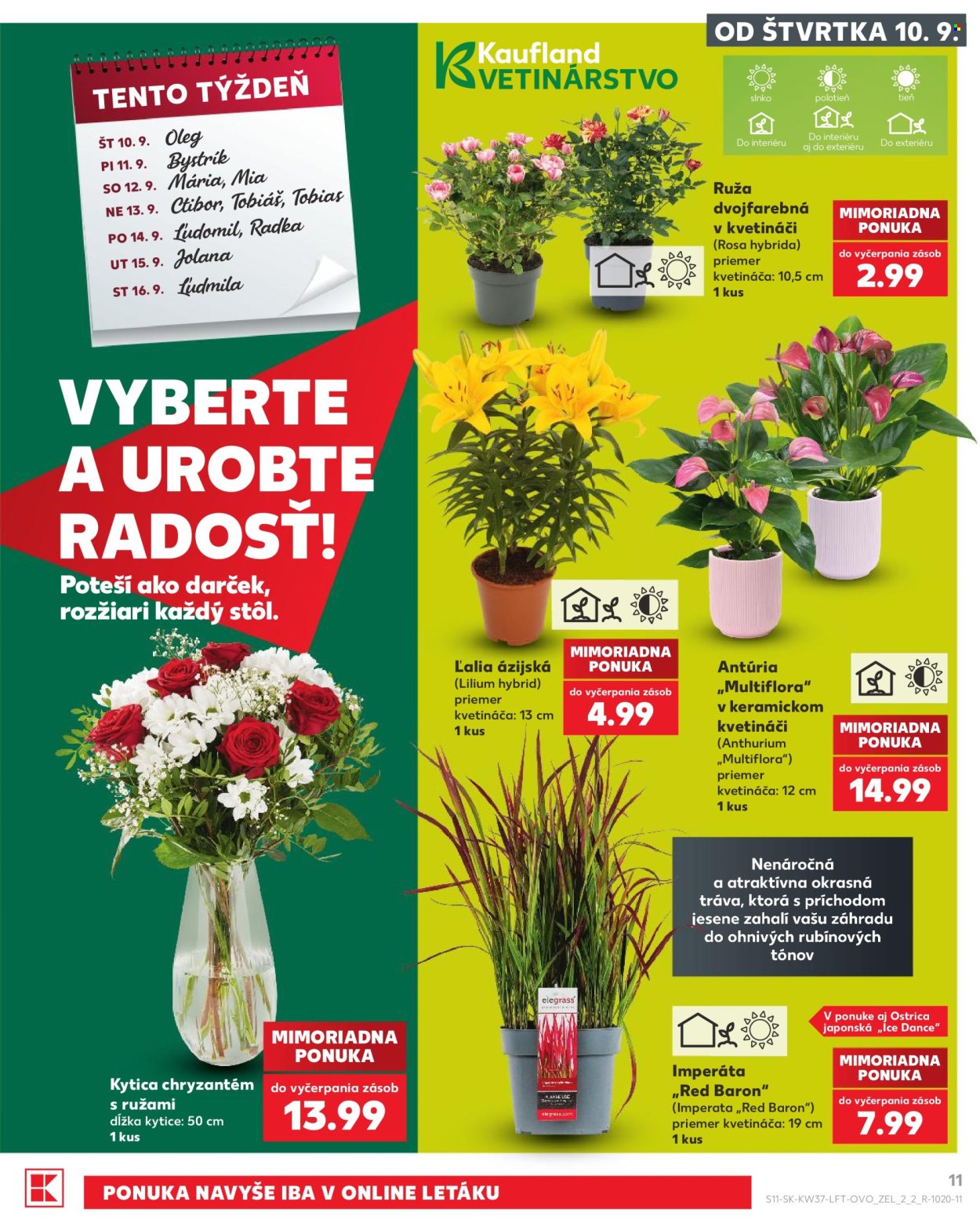 Leták Kaufland - 10.9.2026 - 16.9.2026. Strana 11