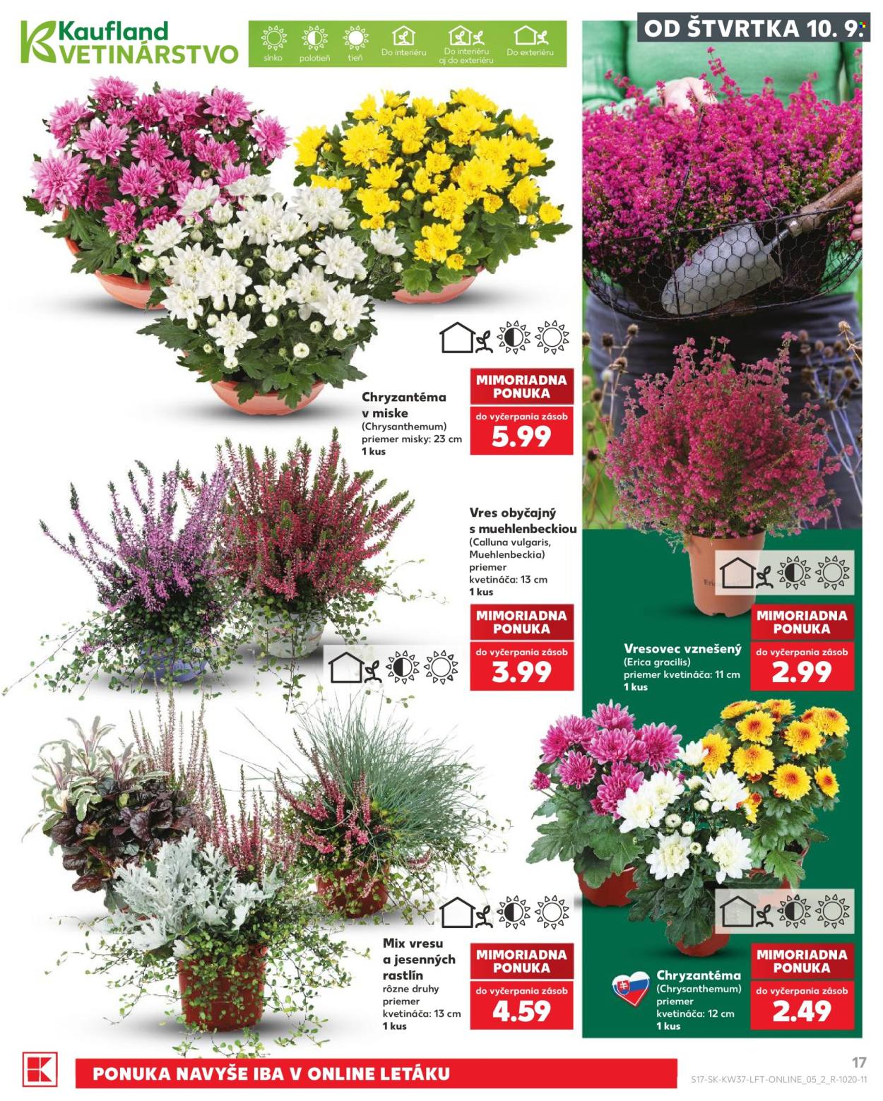 Leták Kaufland - 10.9.2026 - 16.9.2026. Strana 17