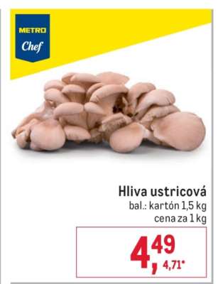 Hliva ustricová