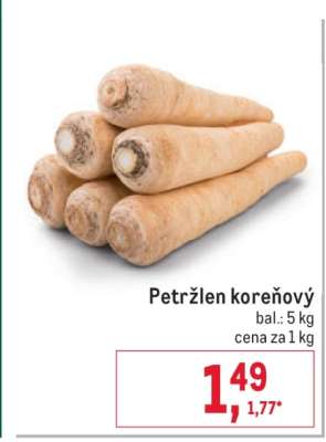 Petržlen koreňový