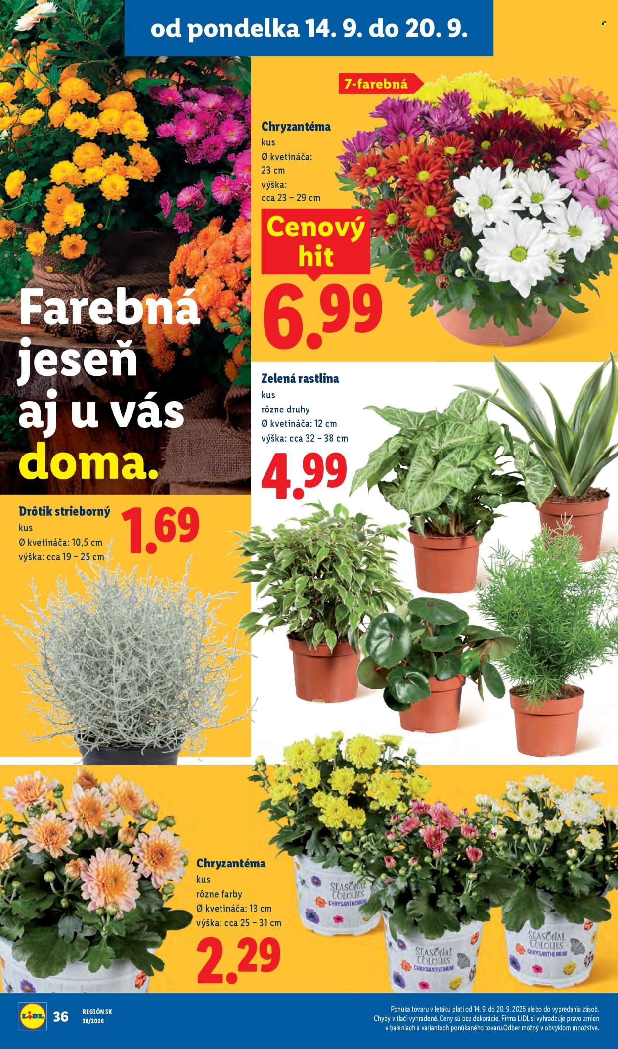 Leták Lidl - 14.9.2026 - 20.9.2026. Strana 50