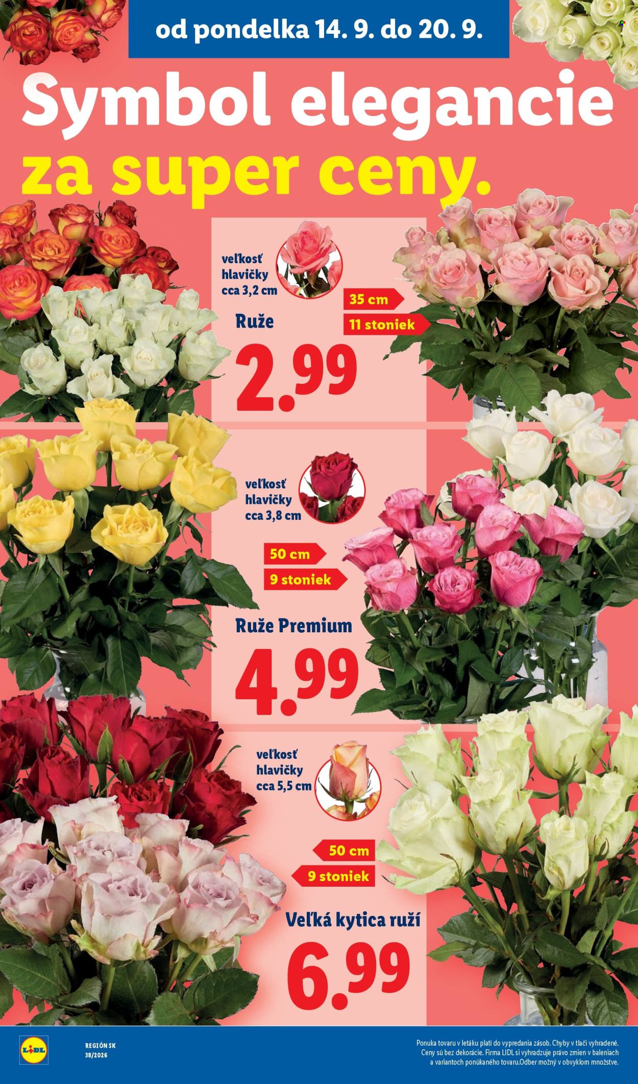 Leták Lidl - 14.9.2026 - 20.9.2026. Strana 51