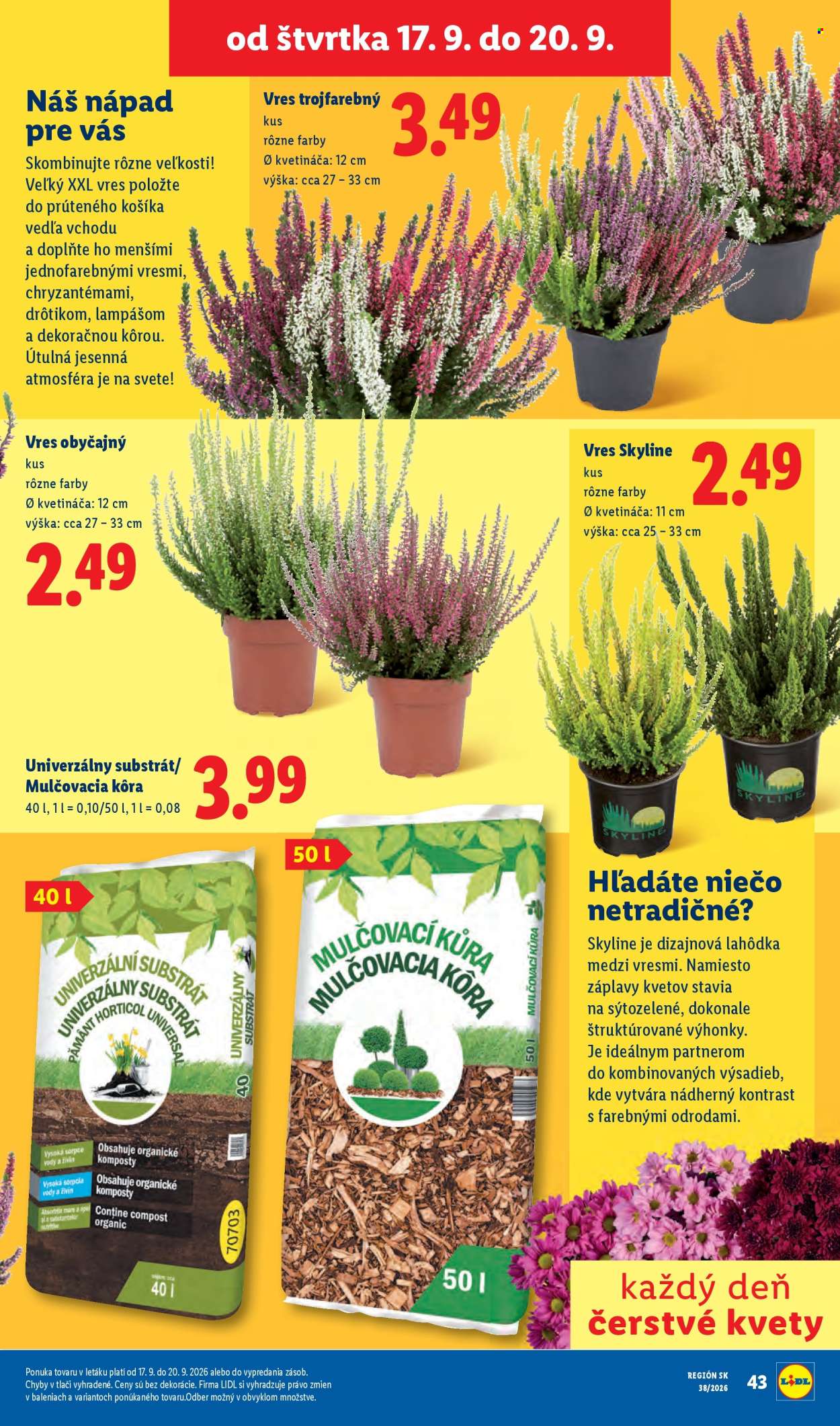 Leták Lidl - 14.9.2026 - 20.9.2026. Strana 79
