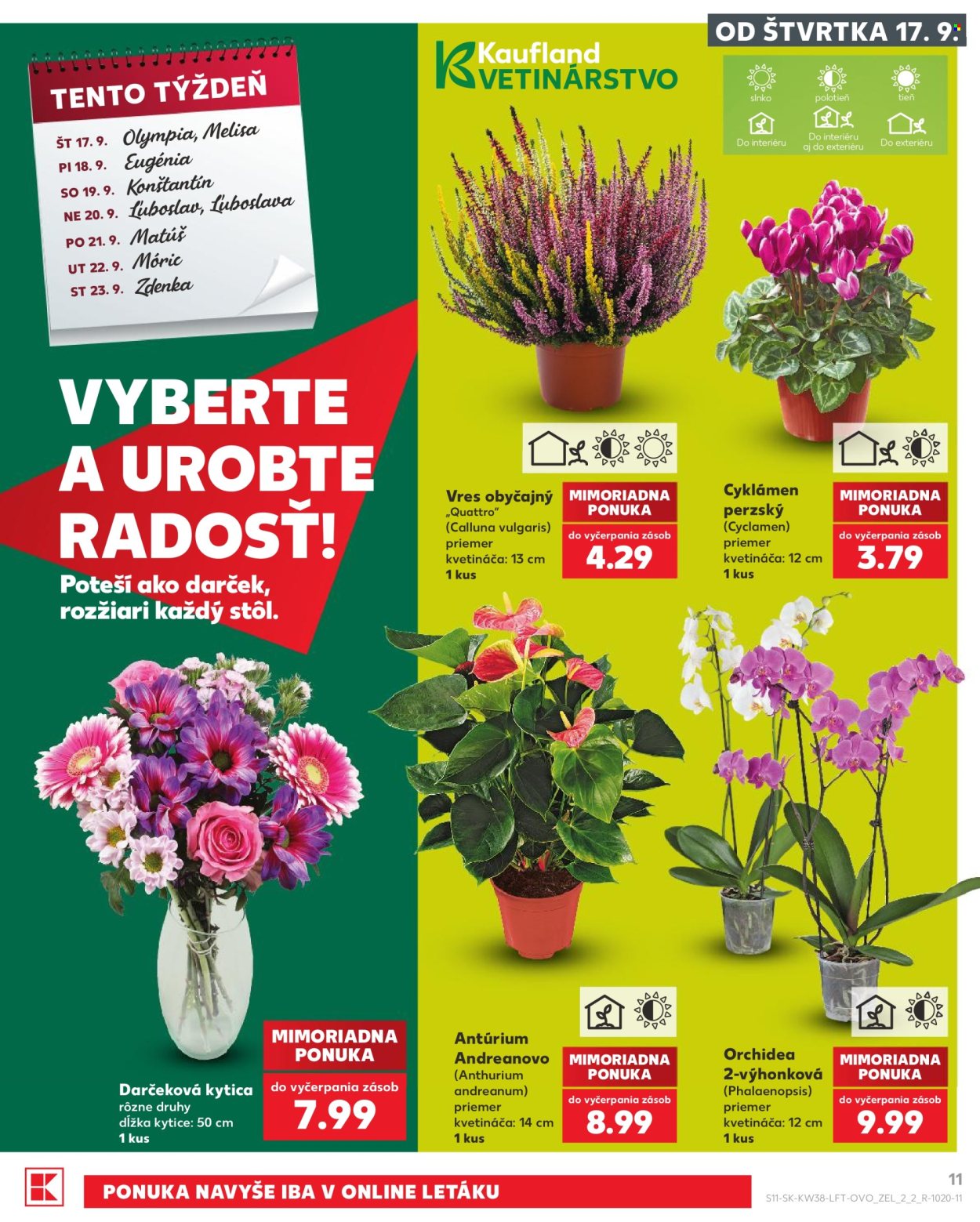 Leták Kaufland - 17.9.2026 - 23.9.2026. Strana 11