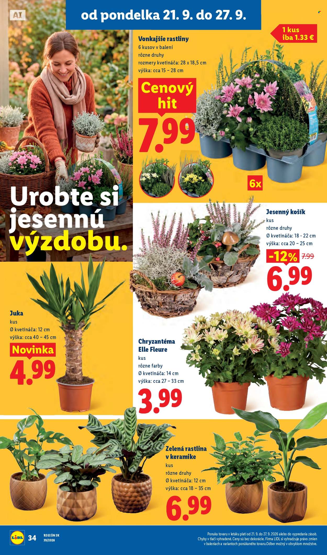 Leták Lidl - 21.9.2026 - 27.9.2026. Strana 49