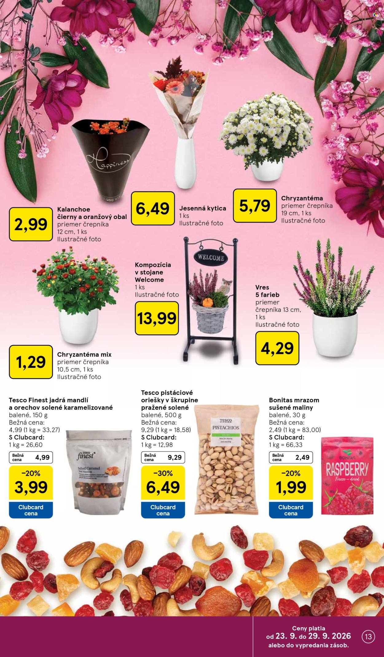 Leták TESCO - 23.9.2026 - 29.9.2026. Strana 13