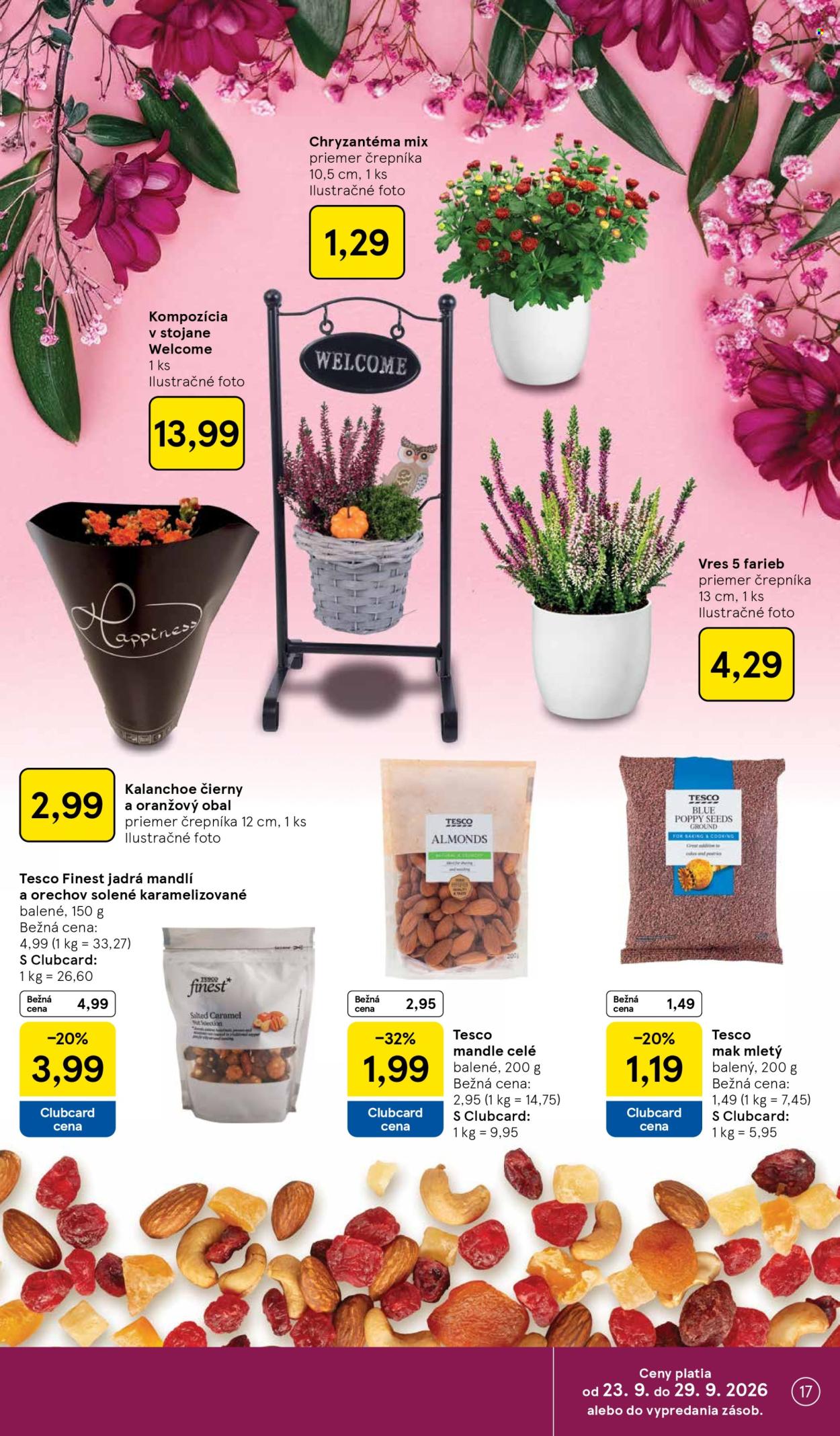 Leták TESCO supermarket - 23.9.2026 - 29.9.2026. Strana 17