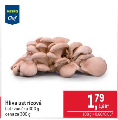 Hliva ustricová
