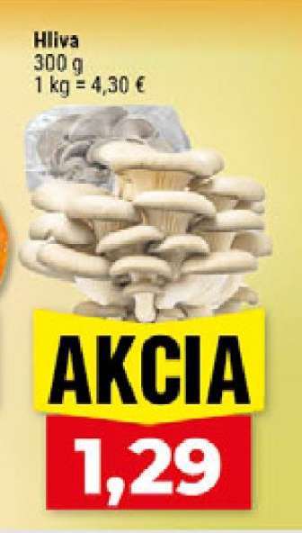 Hlíva
