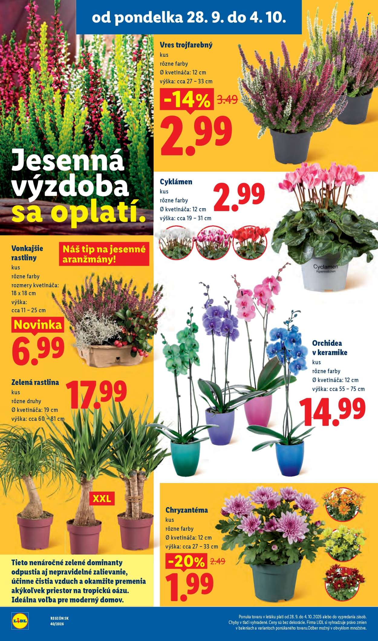 Leták Lidl - 28.9.2026 - 4.10.2026. Strana 51