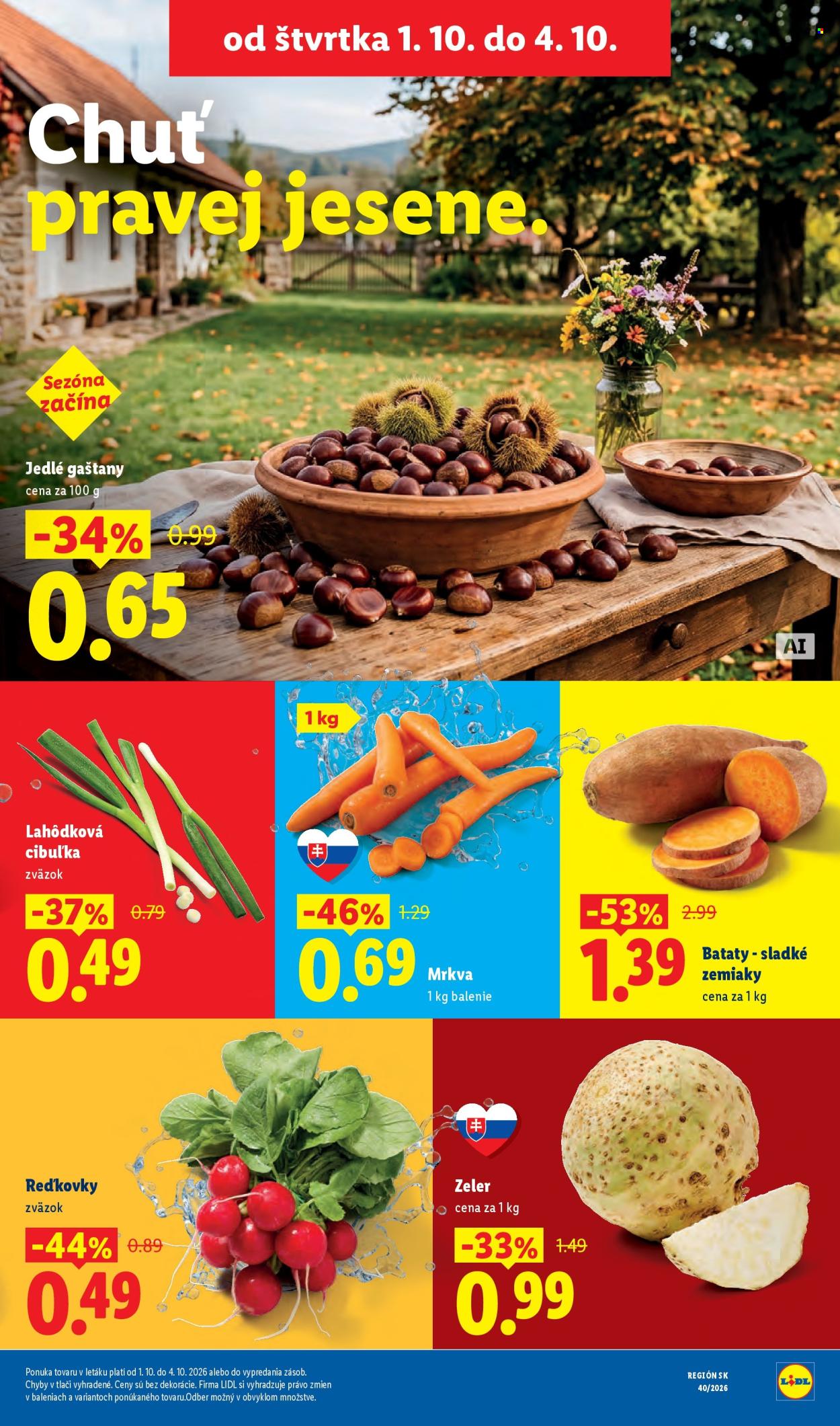 Leták Lidl - 28.9.2026 - 4.10.2026. Strana 67