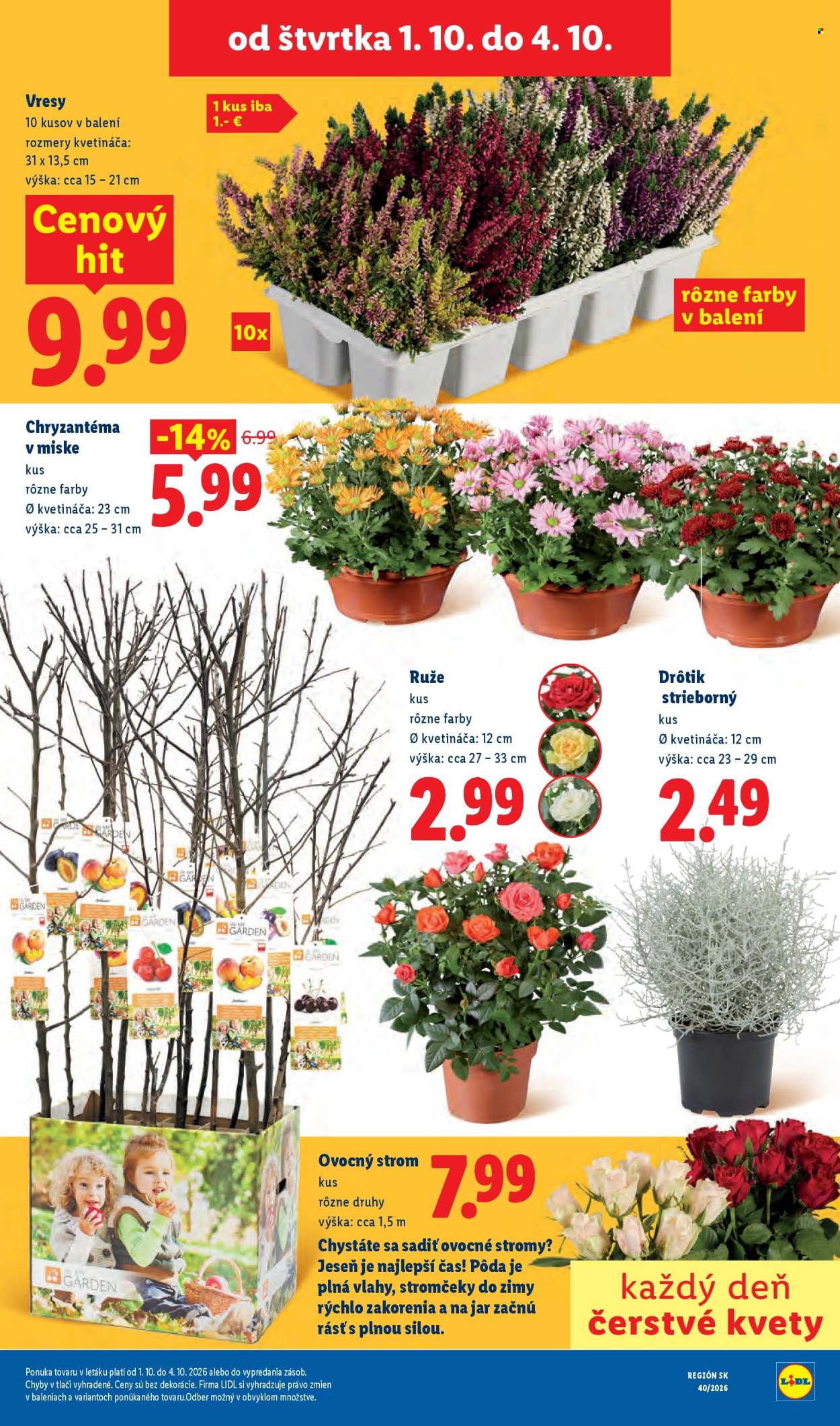 Leták Lidl - 28.9.2026 - 4.10.2026. Strana 81