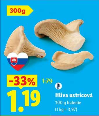 Hliva ustricová
