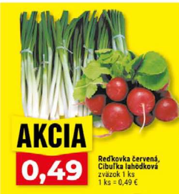 Red'kovka červená, Cibuľka lahôdková