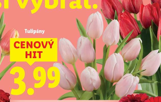 Tulipány