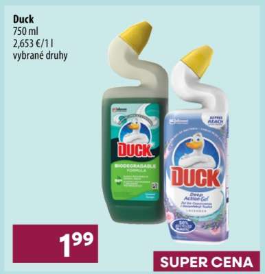 Duck