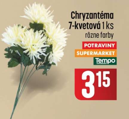 Chryzantéma 7-kvetová 1 ks
