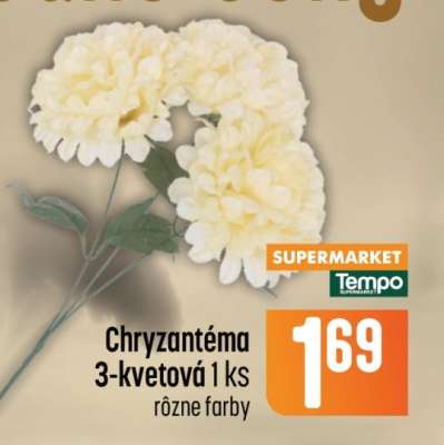 Chryzantéma 3-kvetová 1 ks