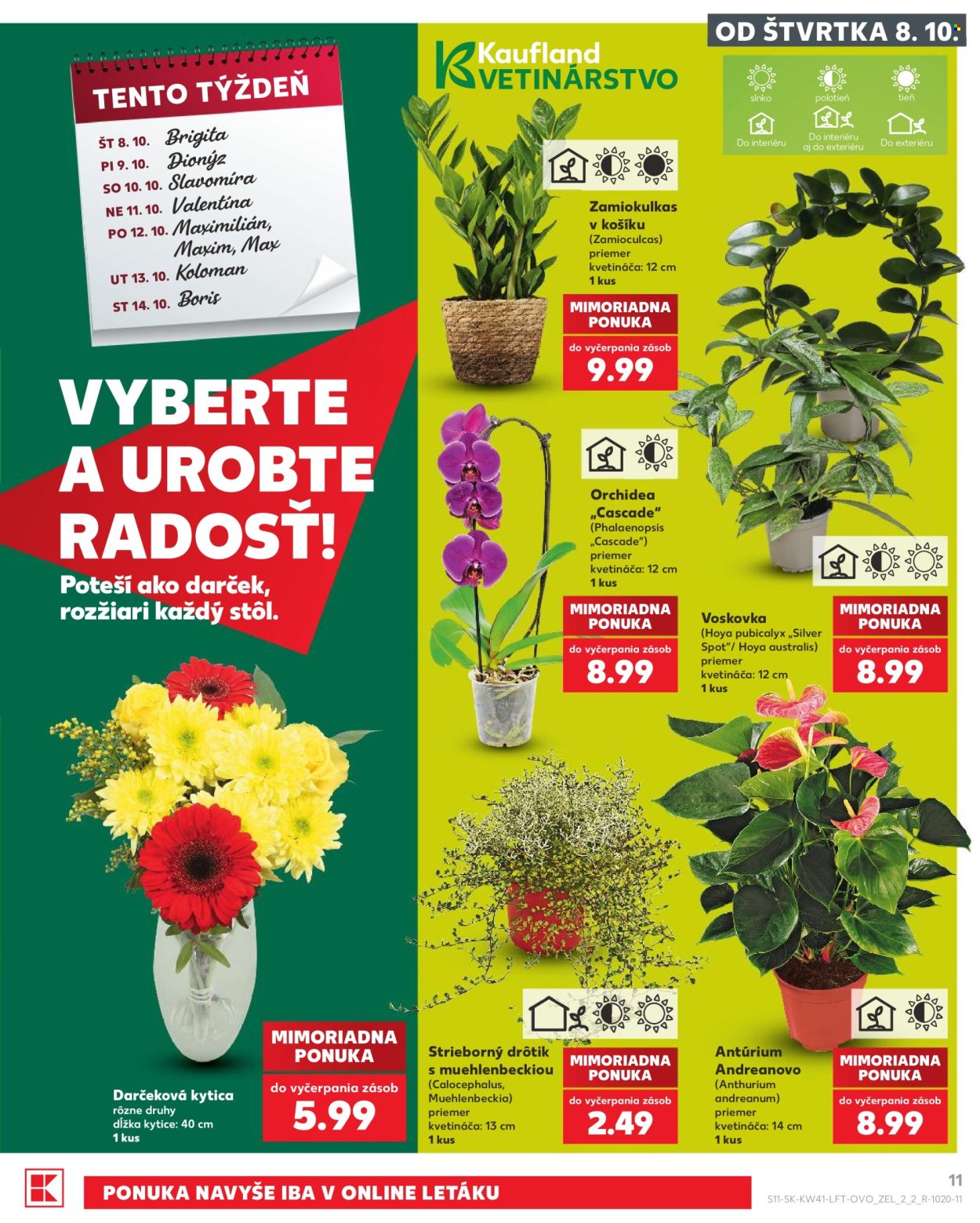 Leták Kaufland - 8.10.2026 - 14.10.2026. Strana 11