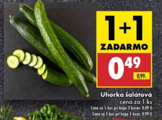 Uhorka šalátová