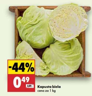 Kapusta biela