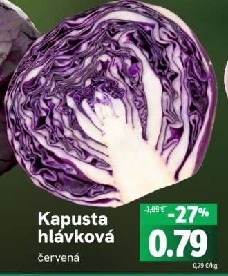Kapusta hlávková červená