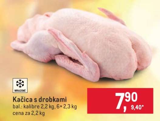 Kačica s drobkami