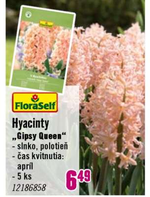 Hyacinty