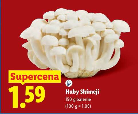 Huby Shimeji