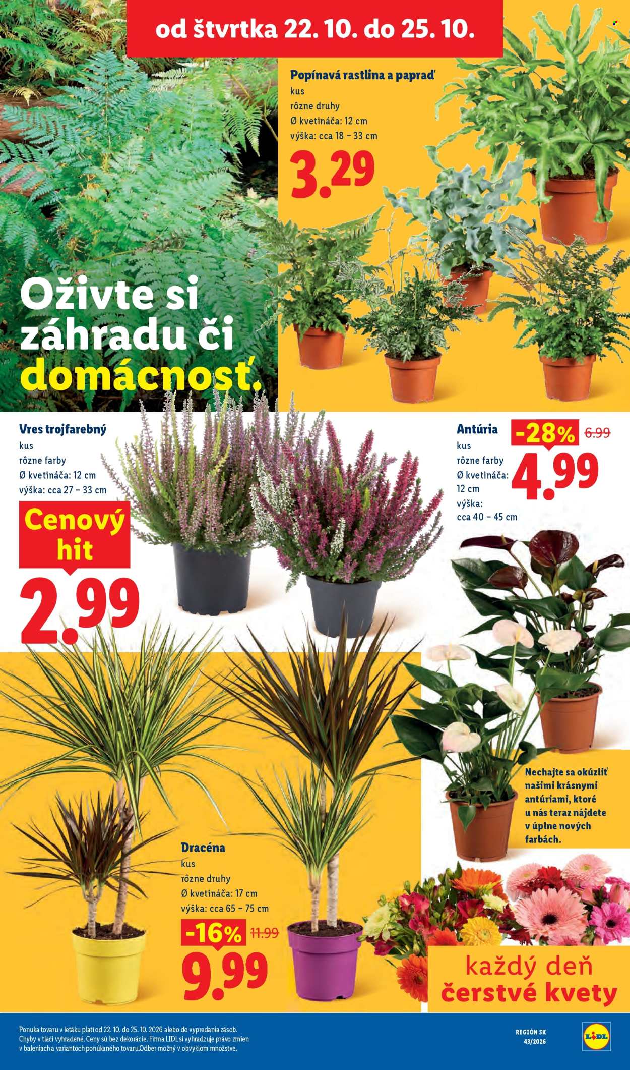 Leták Lidl - 19.10.2026 - 25.10.2026. Strana 102
